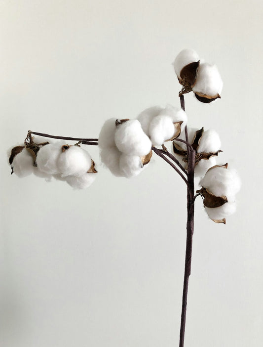 Pomembnost Kakovostnih Materialov pri Fruit Of The Loom Izdelkih