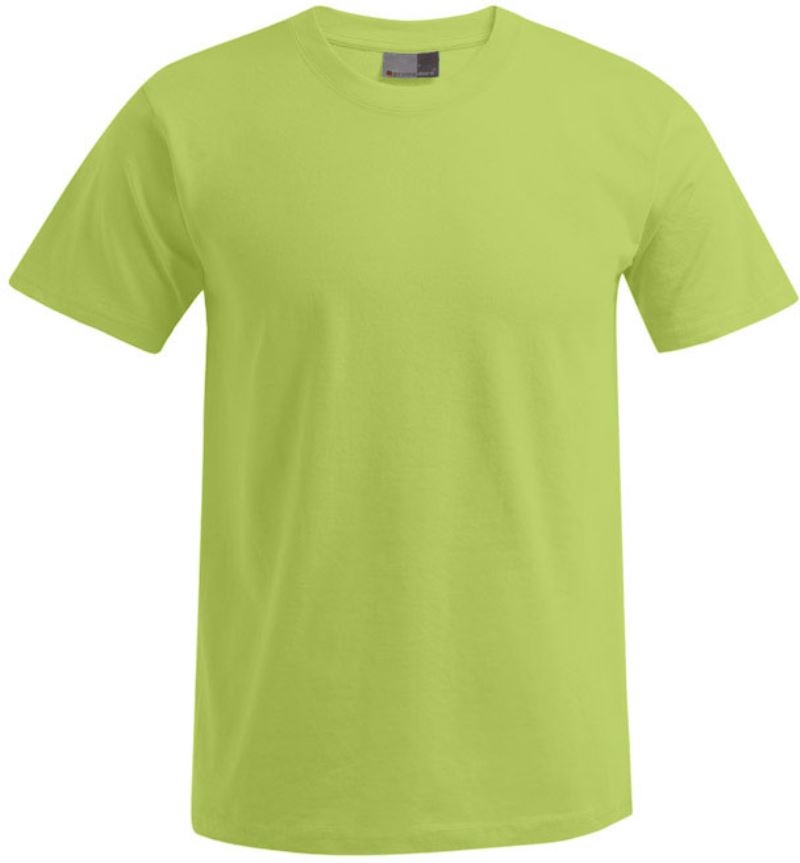 Moška Majica Kratek Rokav Promodoro  3099 (XS-6XL) - oblekanadom