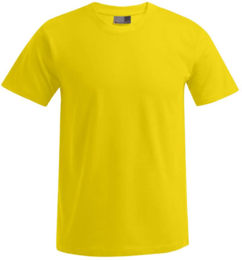 Moška Majica Kratek Rokav Promodoro  3099 (XS-6XL) - oblekanadom
